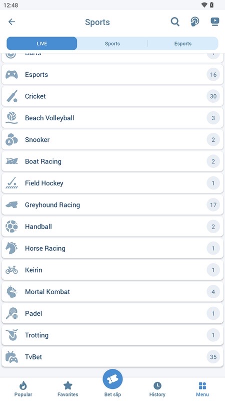 1xBet: catalogue of available sports